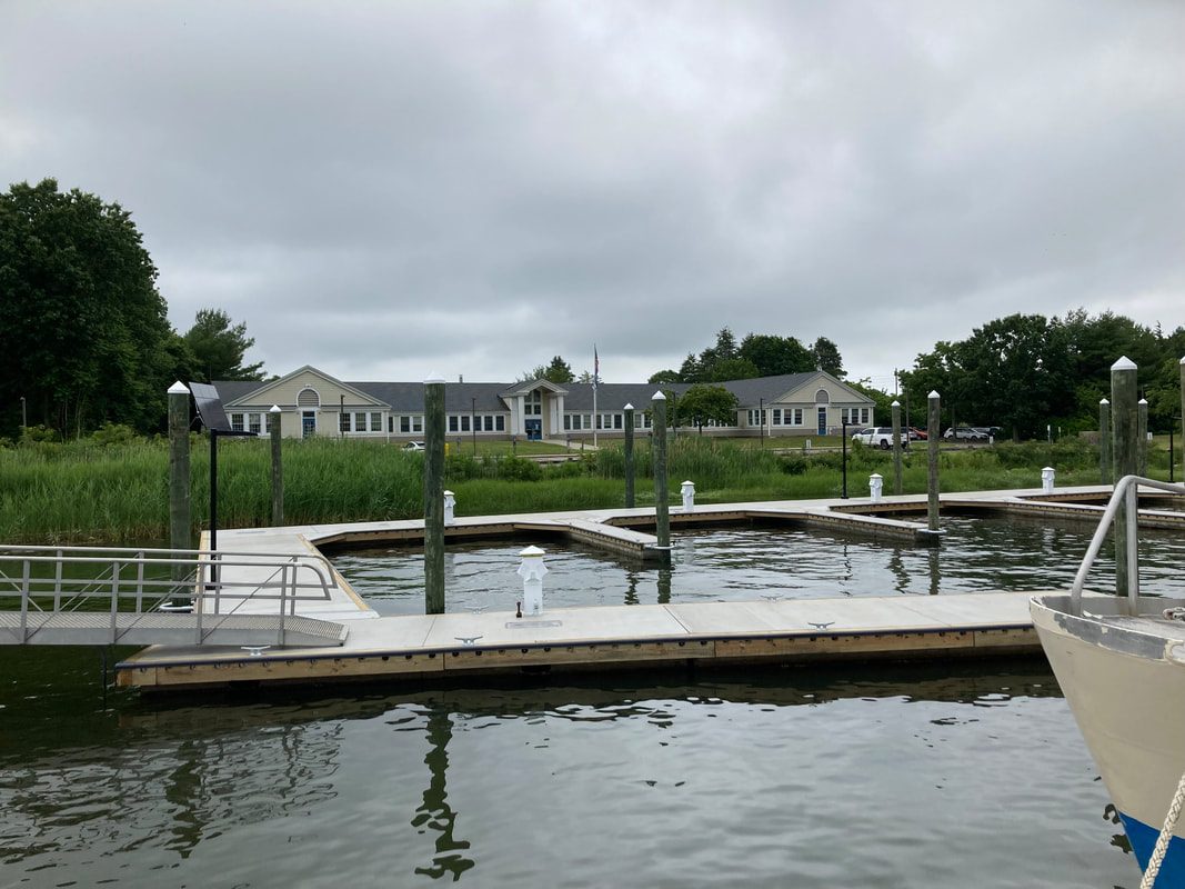 Floating dock fingers and pilings across the marina